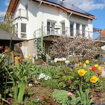 Ferienwohnung Dr. Vera Schmidt Kreischa Εξωτερικό φωτογραφία