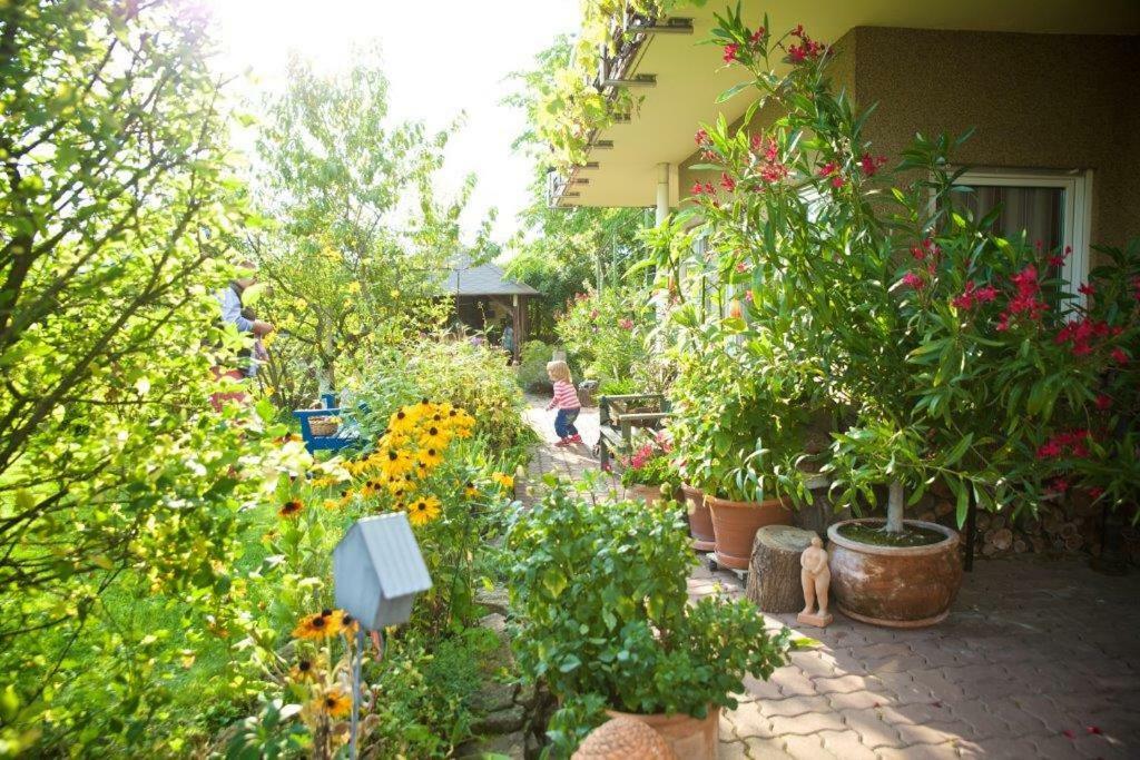 Ferienwohnung Dr. Vera Schmidt Kreischa Εξωτερικό φωτογραφία