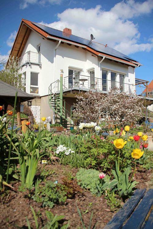 Ferienwohnung Dr. Vera Schmidt Kreischa Εξωτερικό φωτογραφία